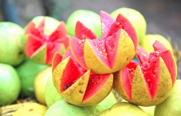 GUAVA MEYVESİ TOHUMU - Resim 2