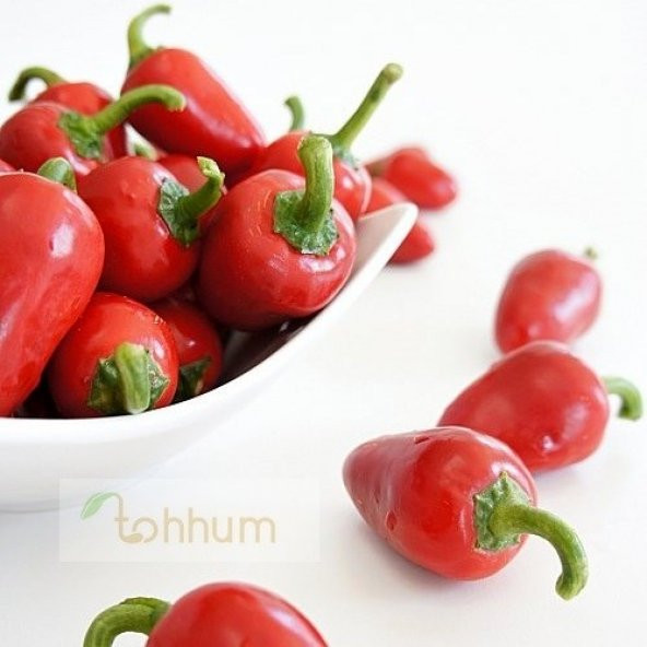 Kiraz Cherry Biber Tohumu - 1