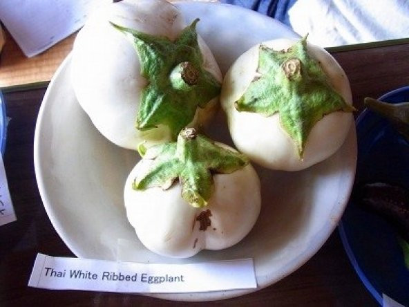 MİNİ BEYAZ TOPAN PATLICAN - Resim 2