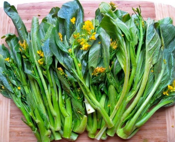 HARDAL OTU TOHUMU - Resim 2