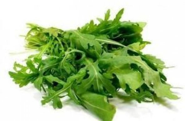 ROKA TOHUMU 1000+ TOHUM - 2