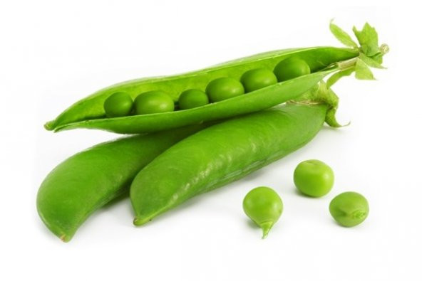 SAKSILIK BEZELYE TOHUMU - Resim 2