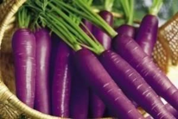 MOR HAVUÇ TOHUMU ürün görseli 1