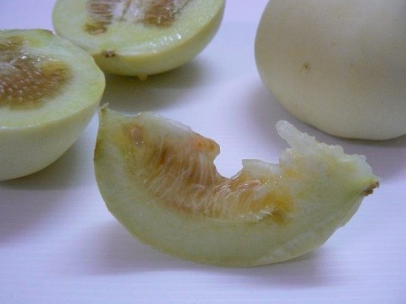 SAKSILIK ELMA KAVUNU * 5 NADİR TOHUM ürün görseli 1