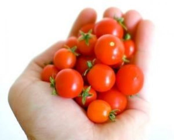 TİNY TİM CHERRY DOMATES - 2