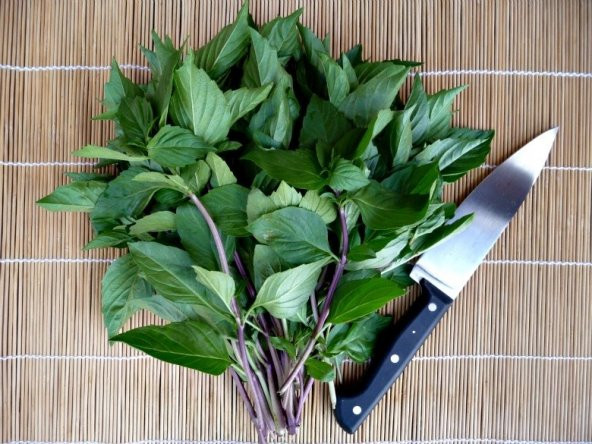 TATLI SAKSILIK FESLEĞEN TOHUMU - Resim 2