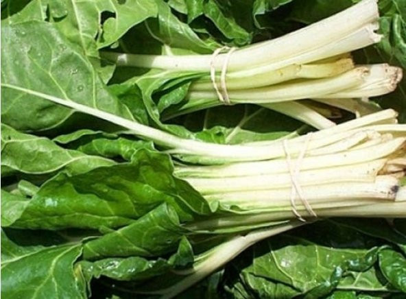 PAZI OTU TOHUMU - Resim 2