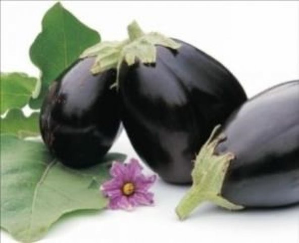 SİYAH TOPAN PATLICAN TOHUMU - Resim 2