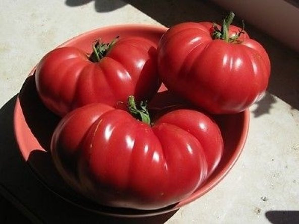PONDEROSA DOMATES TOHUMU - 2