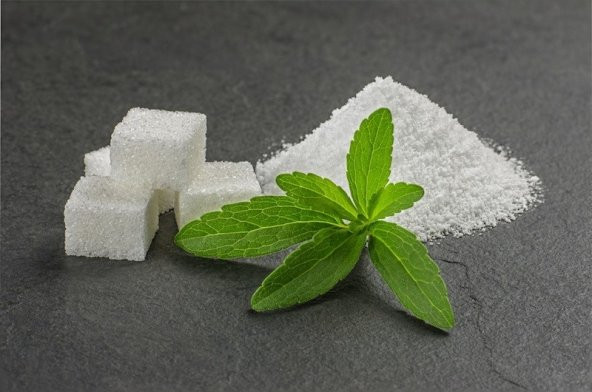 Stevia şeker otu tohumu - 2