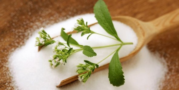Stevia şeker otu tohumu - 3