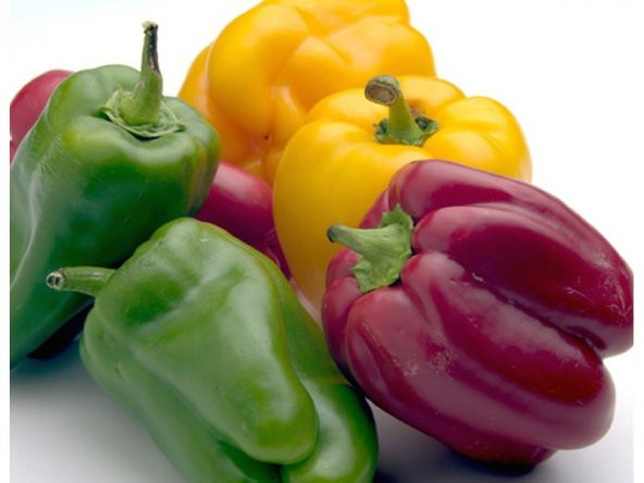 RENKLİ CALİFORNİA DOLMALIK BİBER TOHUMU ürün görseli 1