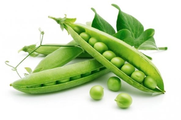 TATLI BEZELYE TOHUMU - Resim 2