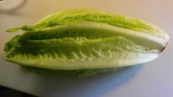 YEDİKULE MARUL TOHUMU - Resim 2