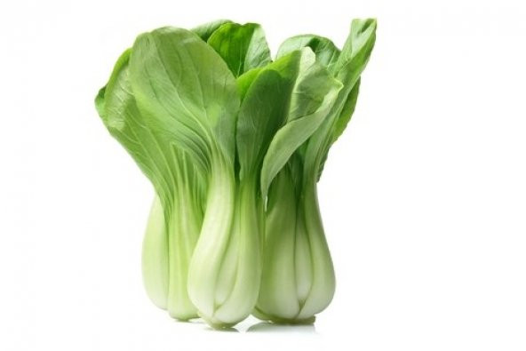 WHITE PAK CHOI *100+ ADET TOHUM - Resim 2