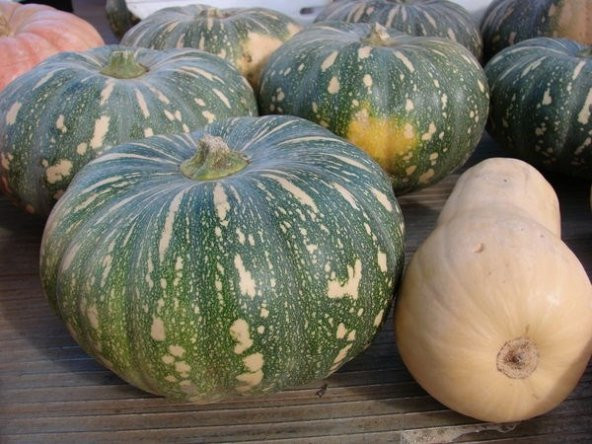 YEŞİL BAL KABAK TOHUMU - 2