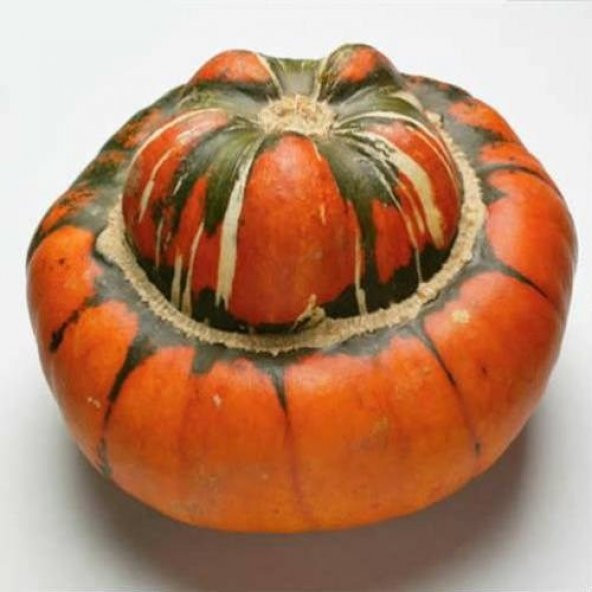 KAVUK KABAK TOHUMU ürün görseli 1