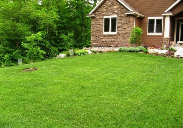 4 LÜ KARIŞIM ÇİM TOHUMU 5 KG ürün görseli 1