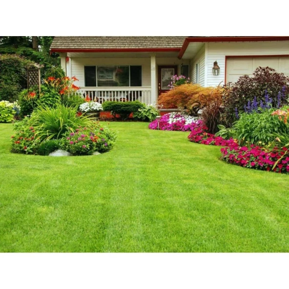 7 Lİ MİX KARIŞIM ÇİM TOHUMU