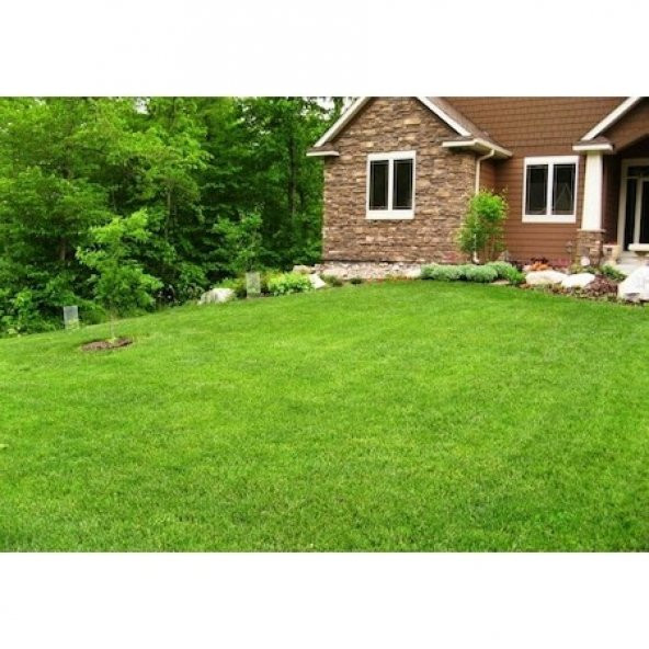 MİX 4 LÜ KARIŞIM ÇİM TOHUMU 1 KG ürün görseli 1