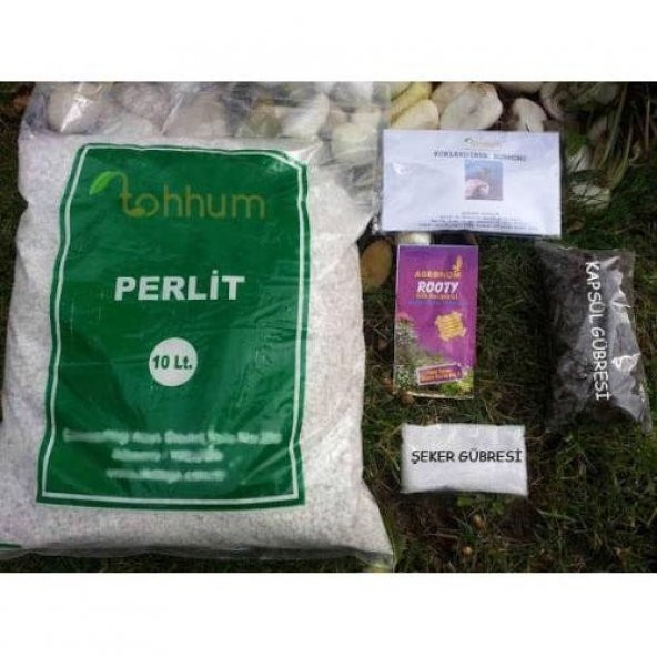 PERLİT+KÖKLENDİRME GÜBRESİ 1 KG. + BESİN ürün görseli 1