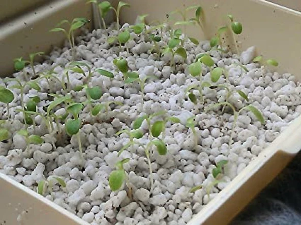 TARIM PERLİTİ 200 LİTRE