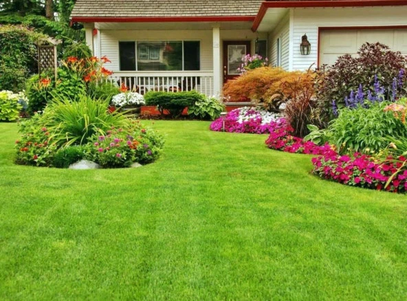 Tohhumix 7 Li Özel Karışım+1kg. Çim Gübresi - Resim 6