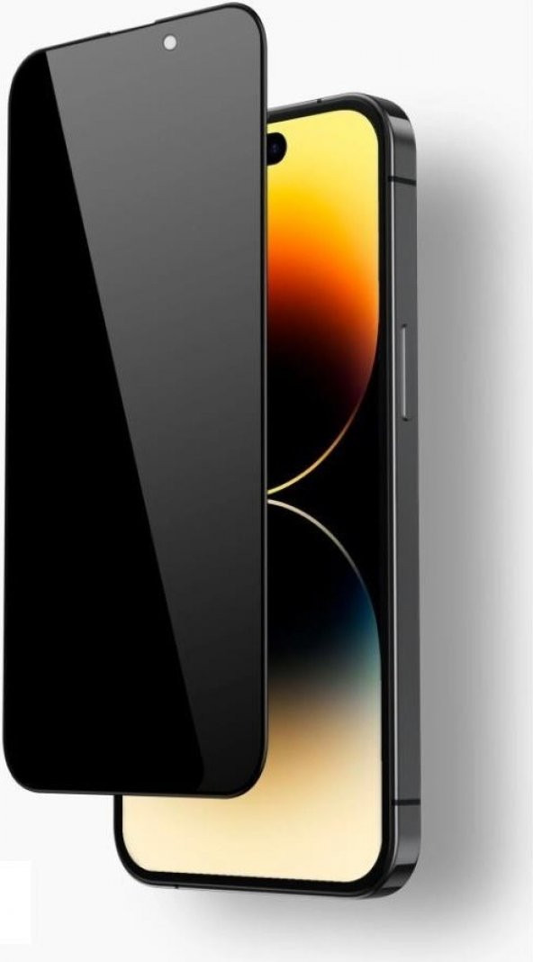 iPhone 12 Pro Max Uyumlu (12 Pro Max) Privacy Gizleyen Hayalet Temperli Cam Ekran Koruyucu