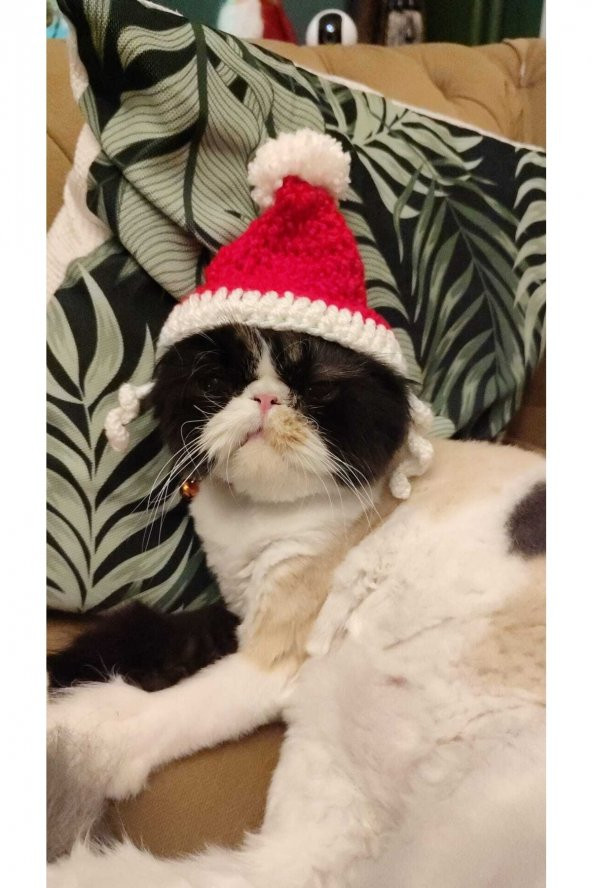 Kedi Yılbaşı Şapkası ,ponponlu Noel Kedi Şapkası