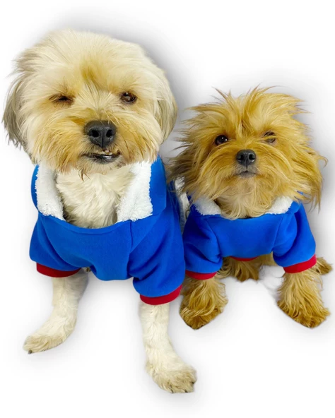 Sweet Blue Rabbit Kapşonlu Sweatshirt Köpek Kıyafeti Köpek Elbisesi - 5