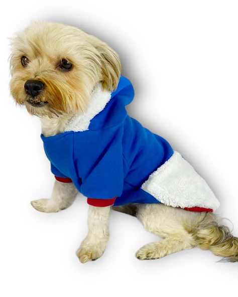 Sweet Blue Rabbit Kapşonlu Sweatshirt Köpek Kıyafeti Köpek Elbisesi - 2