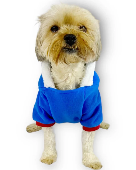 Sweet Blue Rabbit Kapşonlu Sweatshirt Köpek Kıyafeti Köpek Elbisesi - 4