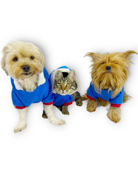 Sweet Blue Rabbit Kapşonlu Sweatshirt Köpek Kıyafeti Köpek Elbisesi - 9