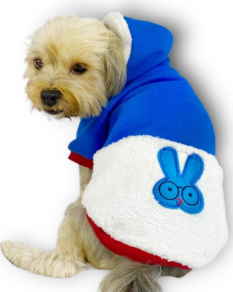 Sweet Blue Rabbit Kapşonlu Sweatshirt Köpek Kıyafeti Köpek Elbisesi