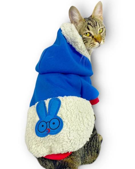 Sweet Blue Rabbit Sweatshirt Kapşonlu Kedi Kıyafeti Kedi Sweatshirt