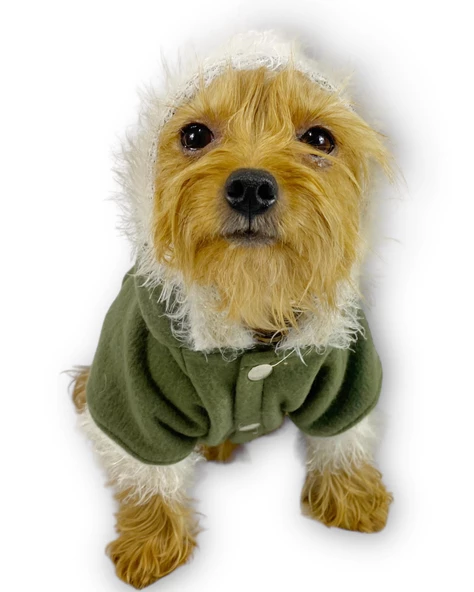 Furry Cream Kapşonlu Ceket Sweat by Kemique Köpek Kazağı - 2