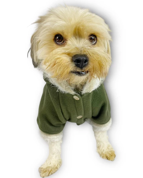 Furry Cream Kapşonlu Ceket Sweat by Kemique Köpek Kazağı - 4