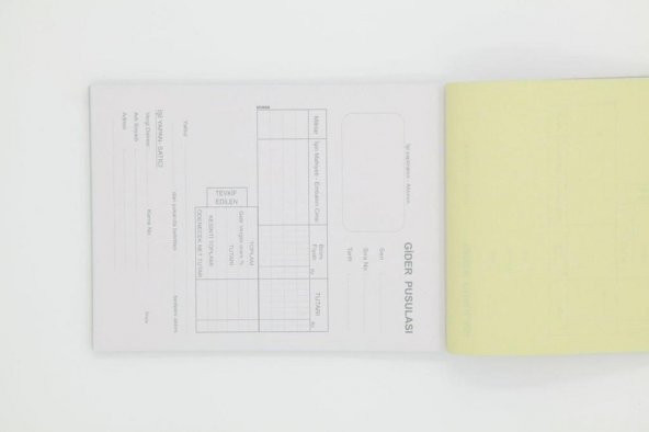 DILMAN GIDER PUSULASI 2 NUSHA 14X20 - 2