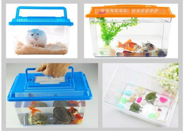 Betta Kabı 18x11x13cm - Mika Kaplumbağa Balık Taşıma Kabı - 2
