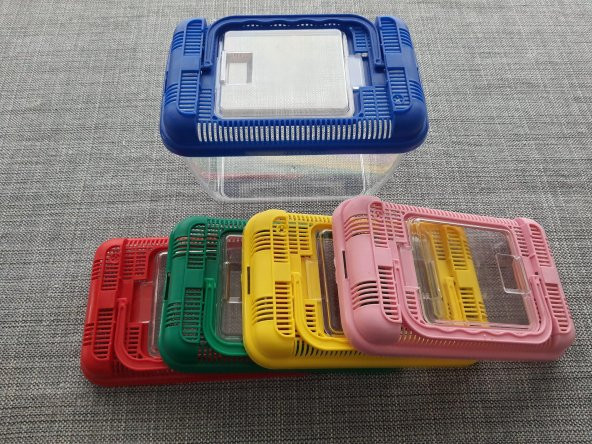 Betta Kabı 18x11x13cm - Mika Kaplumbağa Balık Taşıma Kabı - 3