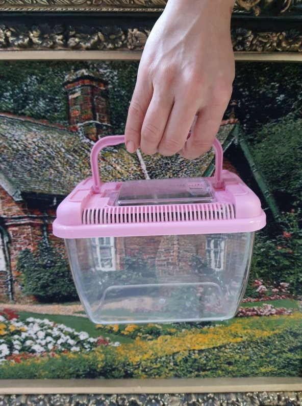 Betta Kabı 18x11x13cm - Mika Kaplumbağa Balık Taşıma Kabı - 4