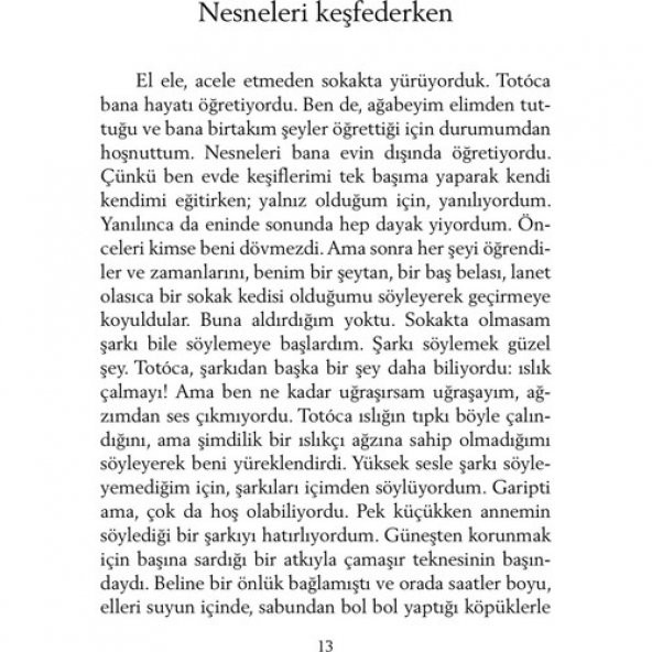 ŞEKER PORTAKALI - 3