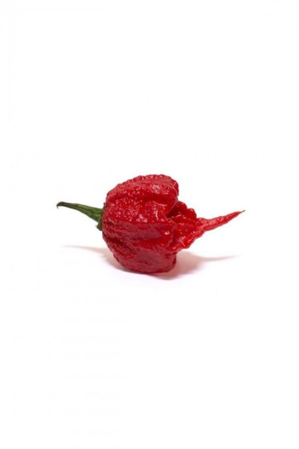 Tohum Dünyam Orjinal Carolina Reaper Biberi Tohumu 10 Adet