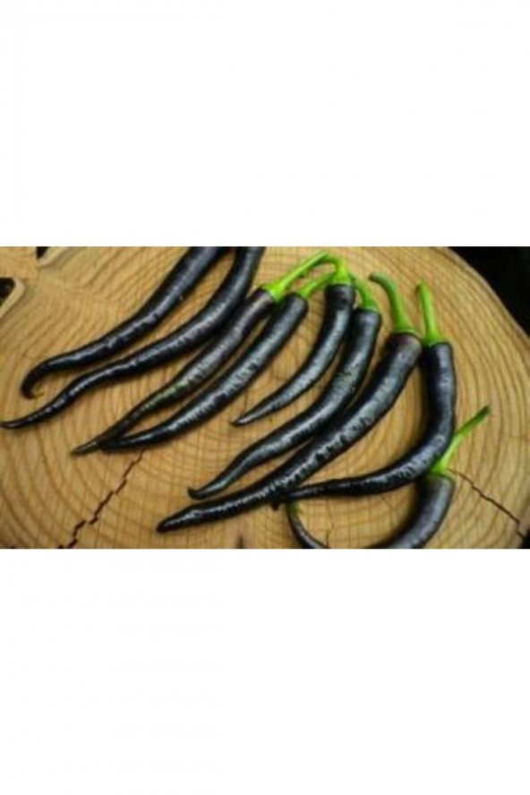 Tohum Dünyam Ithal Acı Siyah Sivri Biber Tohumu Ekim Seti - Resim 2