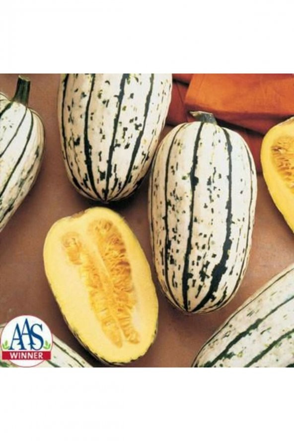 Tohum Dünyam 5 Adet Bush Delicata Bal Kabağı Tohumu