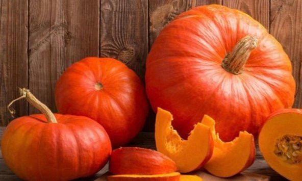Tohum Dünyam 5 Adet Giant Pumpkin - Bambino Bal Kabağı Tohumu - 2