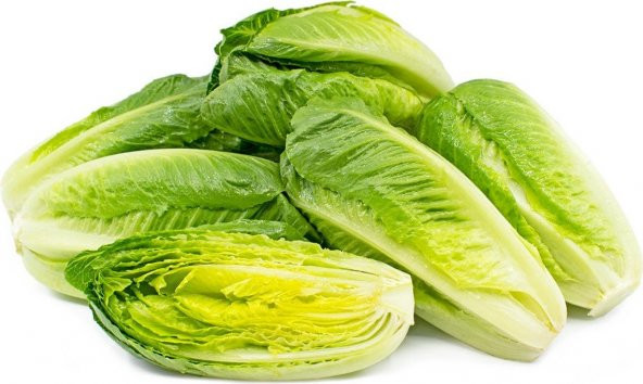Tohum Dünyam 100 Adet Parris Island Romaine Marul Tohumu - 3