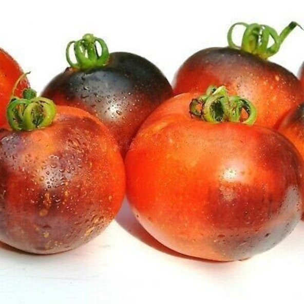 Tohum Dünyam 20 Adet Cosmos Domates Tohumu - 2