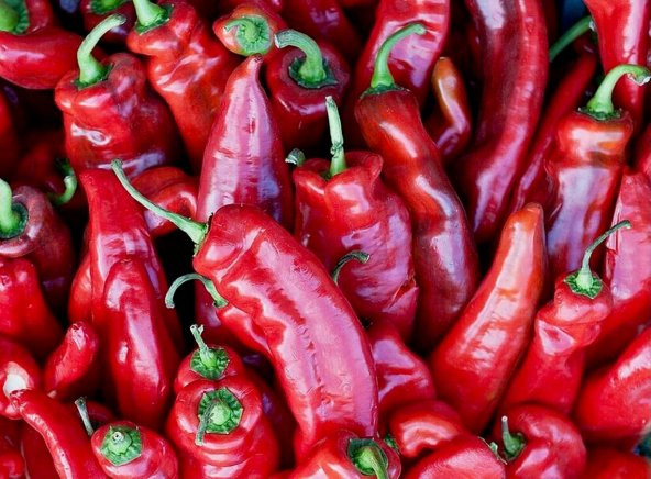 Tohum Dünyam 20 Adet Girit Ierapetradan Yunan Biberi Tohumu - 2