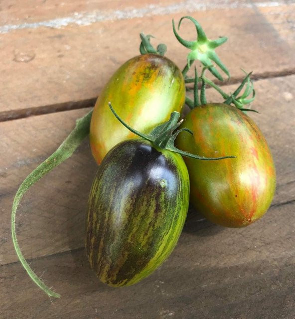 Tohum Dünyam 10 Adet Atomic Grape Heirloom Domates Tohumu